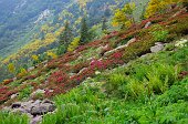 Salita da Valcanale al Passo Laghi Gemelli > Passo Val Sanguigno >...-FOTOGALLERY